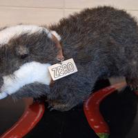 Peluche Potronesofà