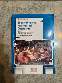 Libro “Il meraviglioso racconto del Decameron”.