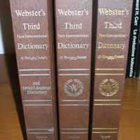 Webster's third new international dictionary