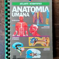 ANATOMIA UMANA Scientifici Giunti 1990 Volume 