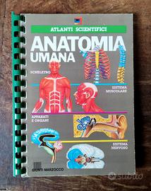 ANATOMIA UMANA Scientifici Giunti 1990 Volume 