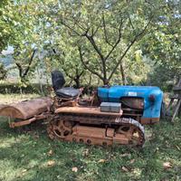 cingolato Lombardini