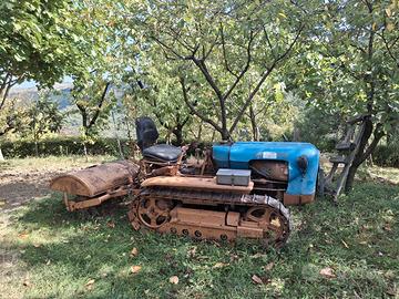 cingolato Lombardini