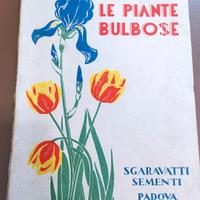 libro vintage LE PIANTE BULBOSE