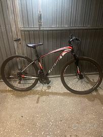 Bici mtb