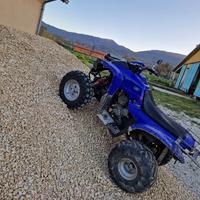 Quad adly 300
