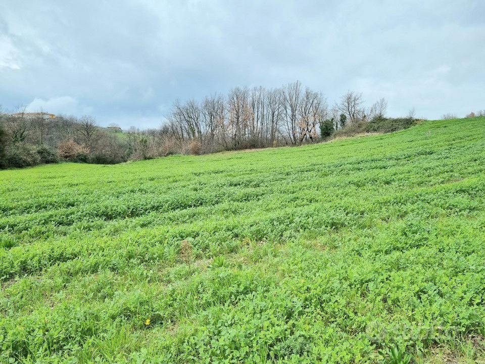 Terreni agricoli di 9000 mq - Vista 4