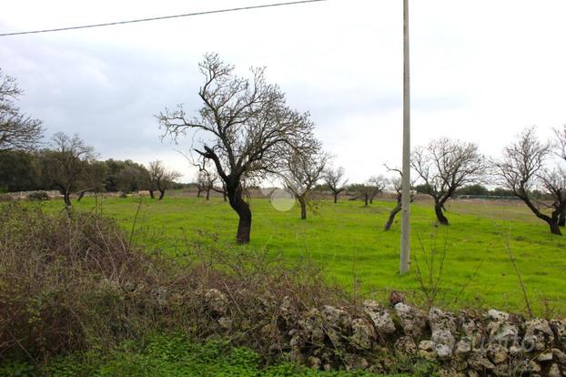 TER. AGRICOLO A CAROVIGNO