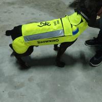 giubbotto antizzanna Browning pro evo