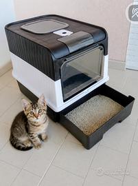 lettiera per gatti 