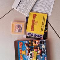 Donkey Kong Land III