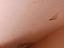 Immagine 24