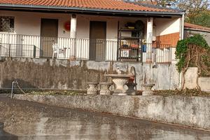 Toeletta pensione ed associazione per cani
