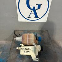 Vaschette olio e acqua Fiat Ducato anno 2019