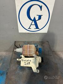 Vaschette olio e acqua Fiat Ducato anno 2019