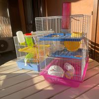 Gabbiette per criceti