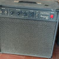 Amplificatore  Davoli Tempest 20 vintage
