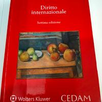 Manuale di diritto internazionale Carlo Focarelli