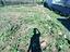 Immagine 6
