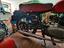 Immagine 5