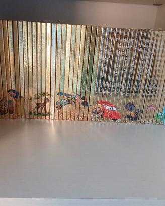 lotto di 44 libri disney