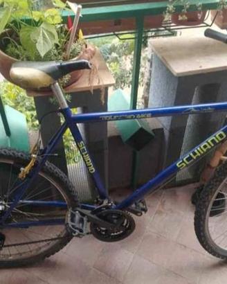 mountain bike 26
