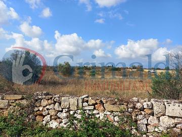 Terreno Agricolo Ugento [48ugento-taurisanoVCG] (U