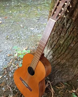 Rara Chitarra da collezione Landola v-65 "Angela"