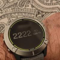 Garmin Enduro