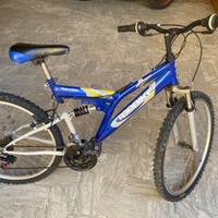 Bicicletta mountain bike