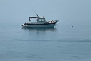 Nautica Hardy Pilot 20