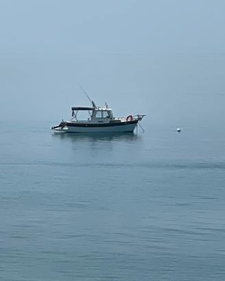 Nautica Hardy Pilot 20