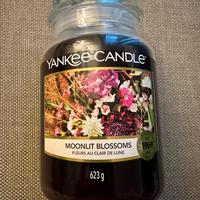 Candela Yankee Candle 628g