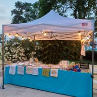 Gazebo rapido 3x3 Pro AC Gazebomatic