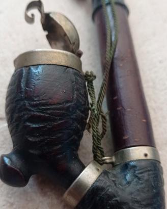 Pipa rustica 