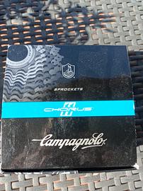Pignoni Campagnolo 11/25