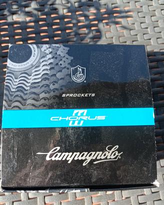 Pignoni Campagnolo 11/25