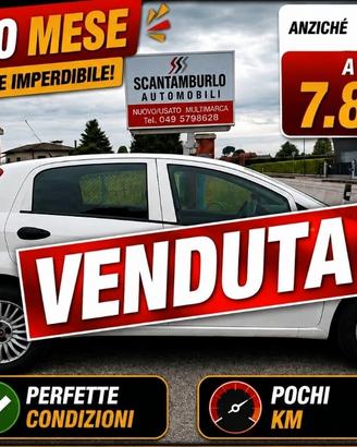 Fiat Punto 1.2 8V 5 porte Street