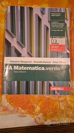 libro matematica verde 4A
