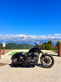 Harley-Davidson Sportster Iron 883