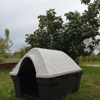 Cuccia apribile grigia