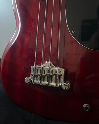 Basso Epiphone