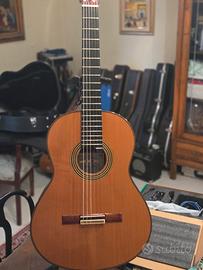 Chitarra Alhambra linea professional