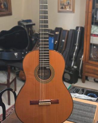 Chitarra Alhambra linea professional