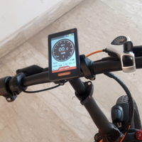Bici elettrica 