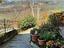 Immagine 9