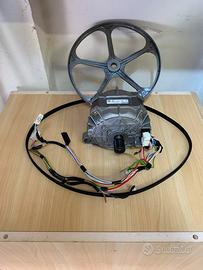 Motore Puleggia Cinghia Lavatrice Beko