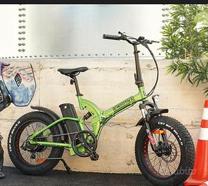 bici elettrica 