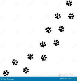 Dog sitter pensione cani in Appartamento