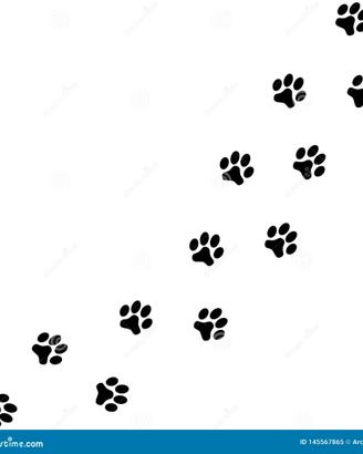 Dog sitter pensione cani in Appartamento